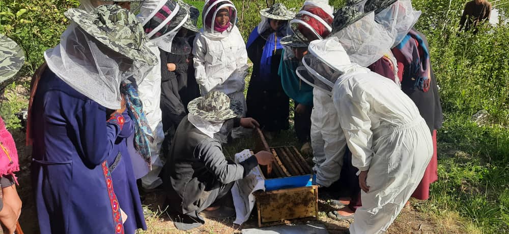 Bee Keeping project beneficiery - Bamyan